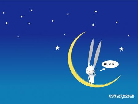 lapin